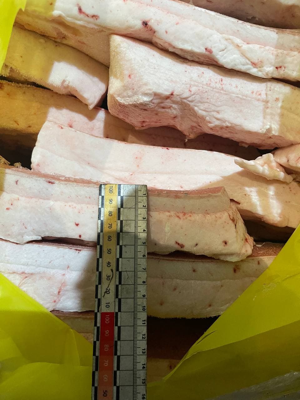 Iberico back fat 4+
