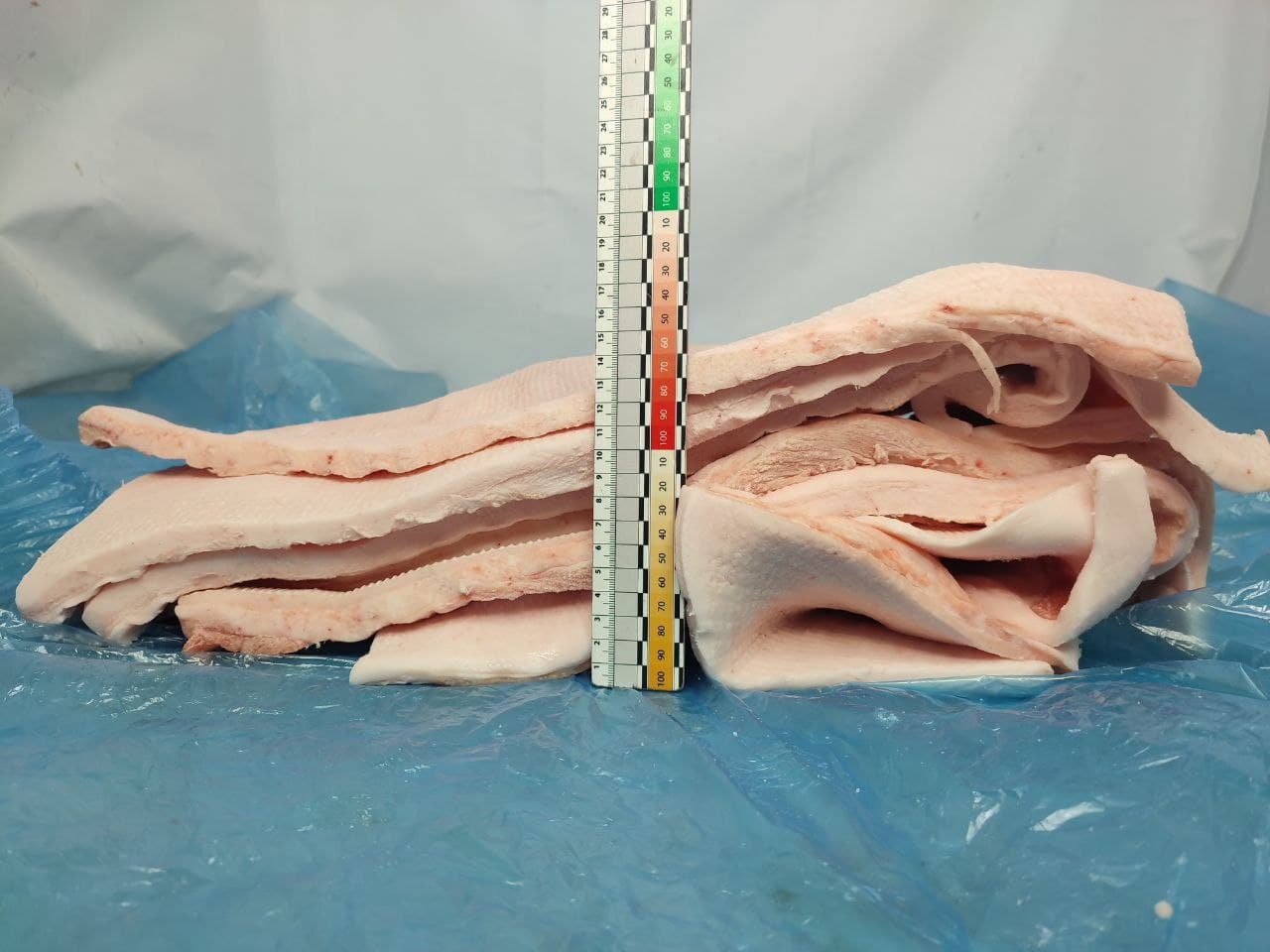 Pork back fat