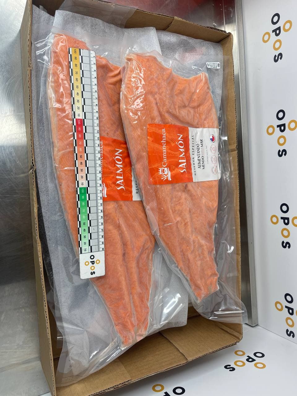 Coho salmon fillet