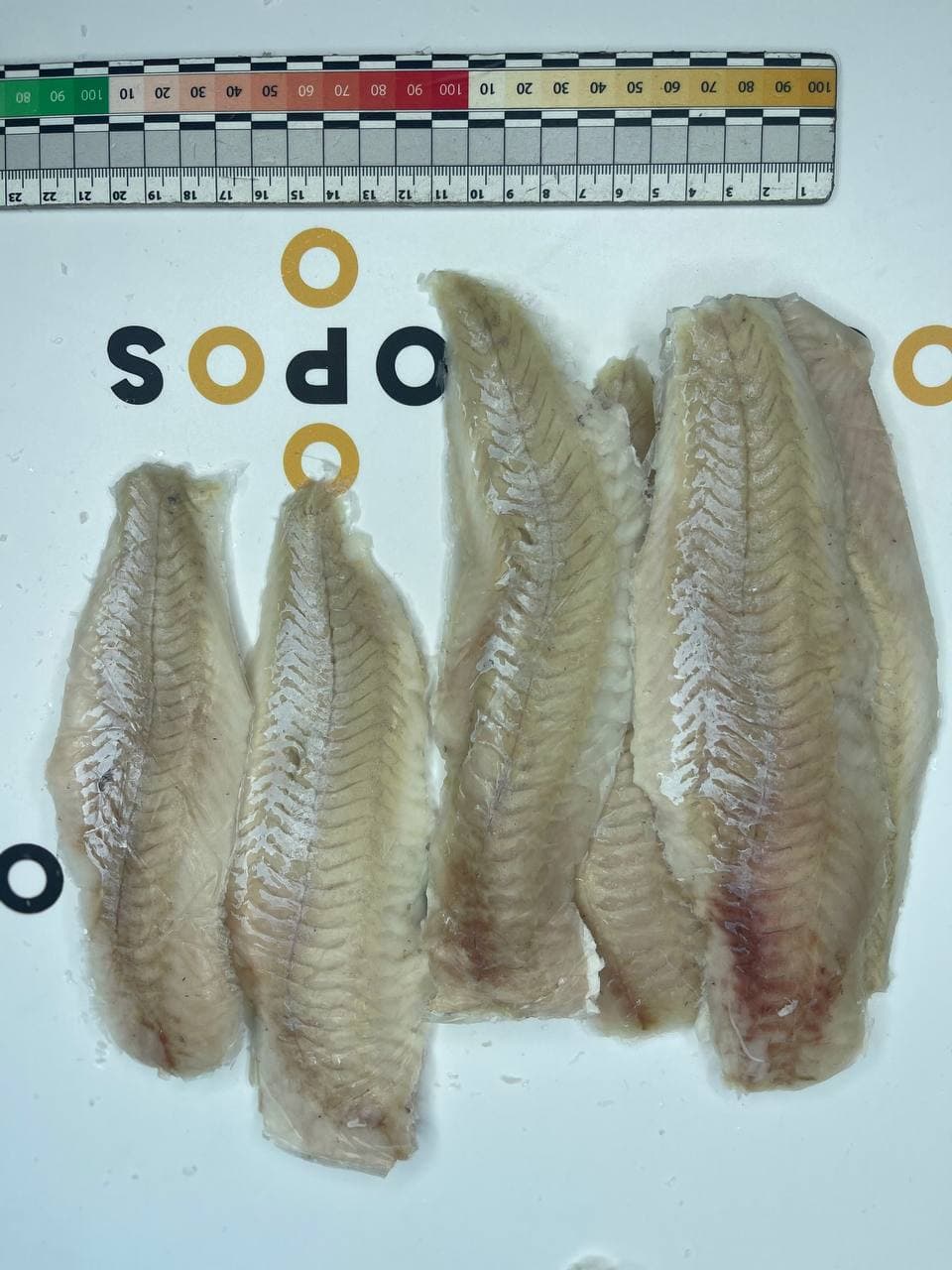 Herring flaps