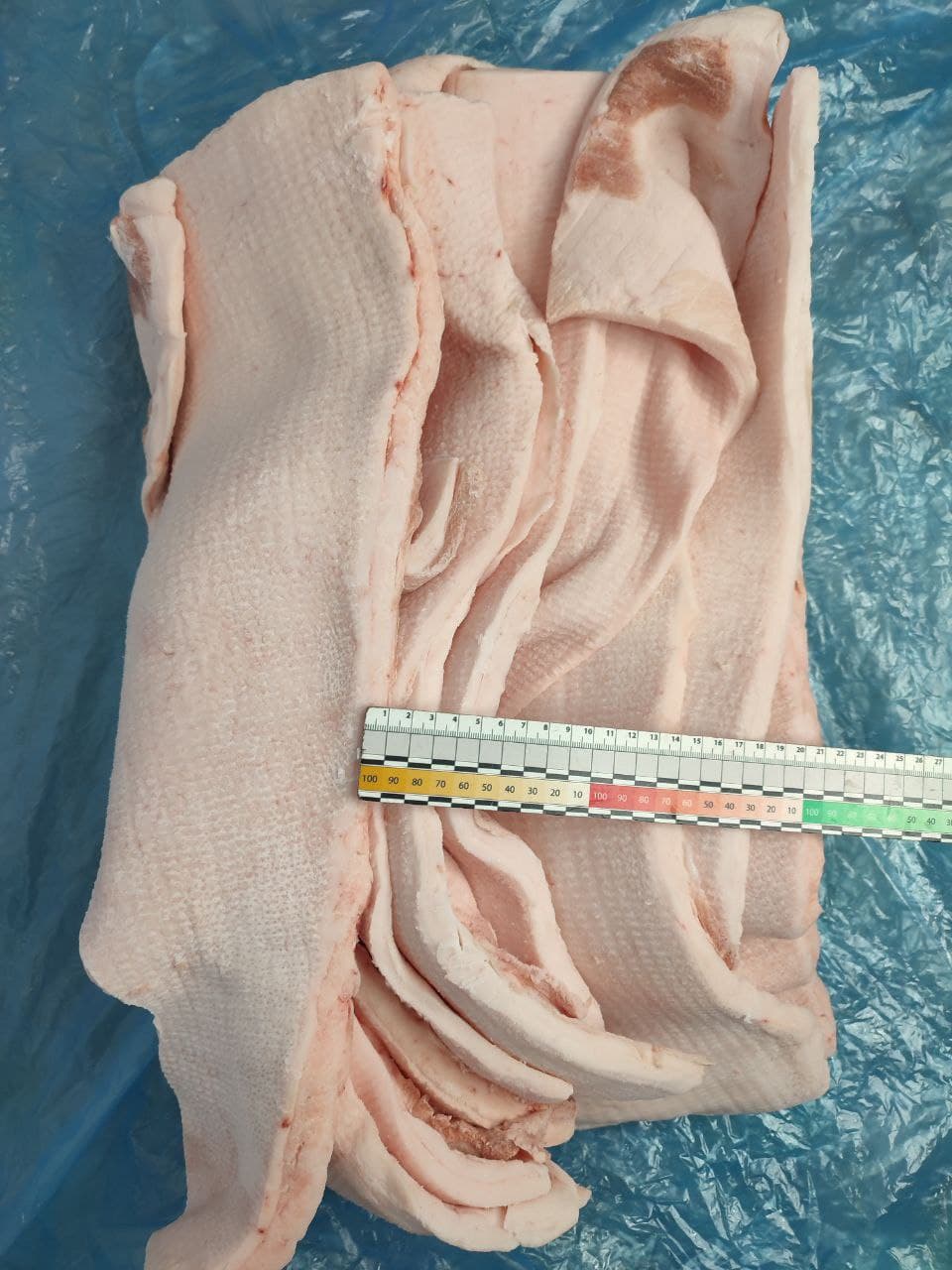 Pork back fat